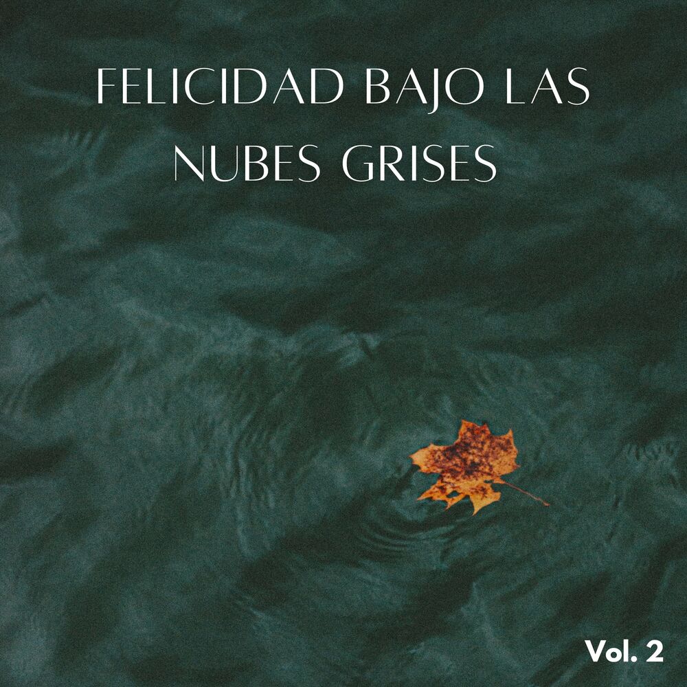 Picture of Felicidad Bajo Las Nubes Grises Vol. 2
