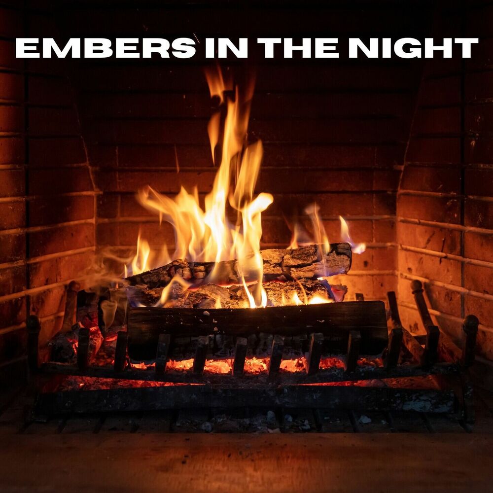 Picture of Embers in the Night