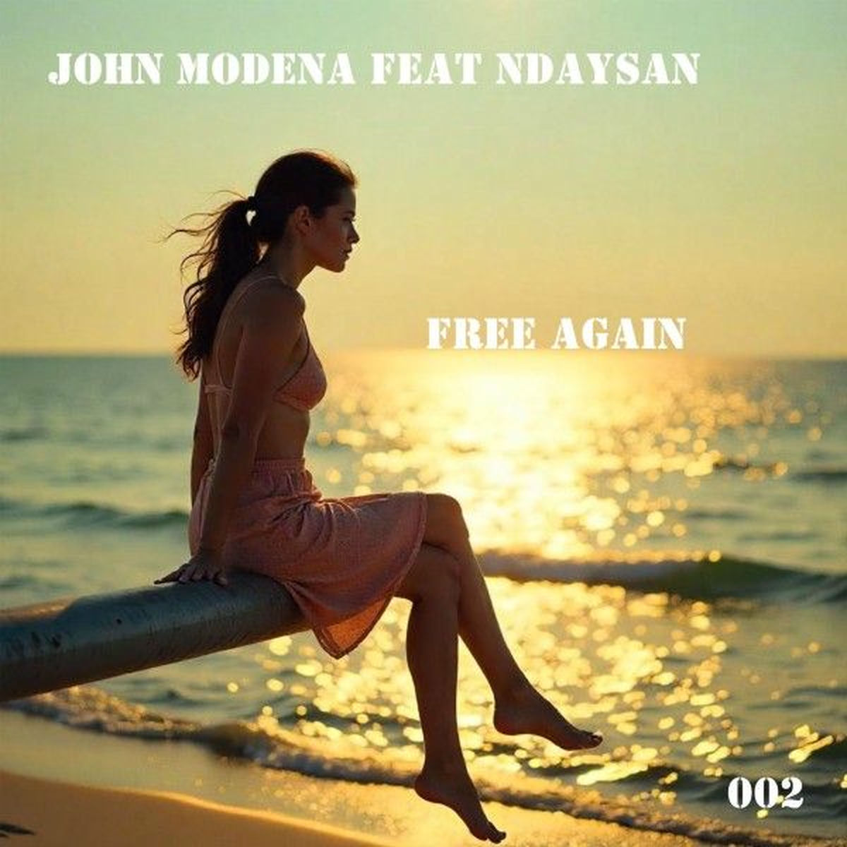 Album cover of Free Again