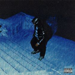 Cover of LEVEL