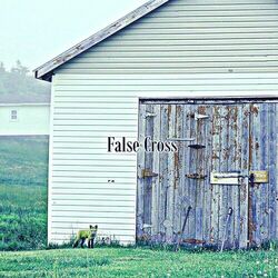 Cover of False Cross
