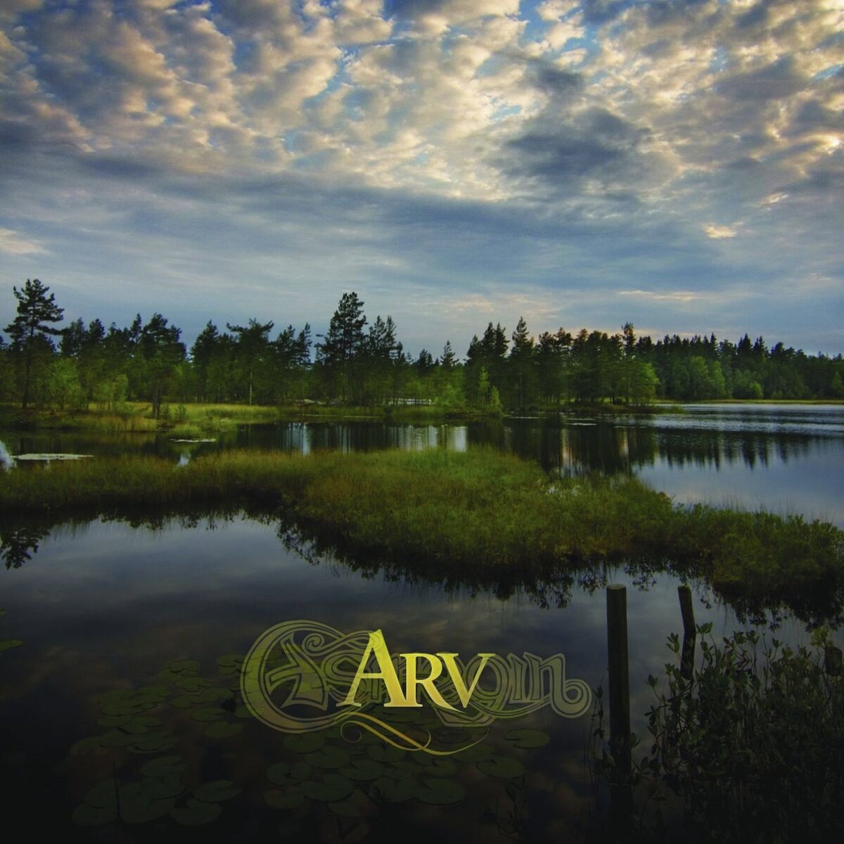 Album cover of Arv
