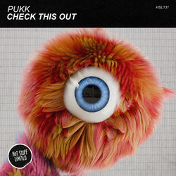 Pukk — Check This Out