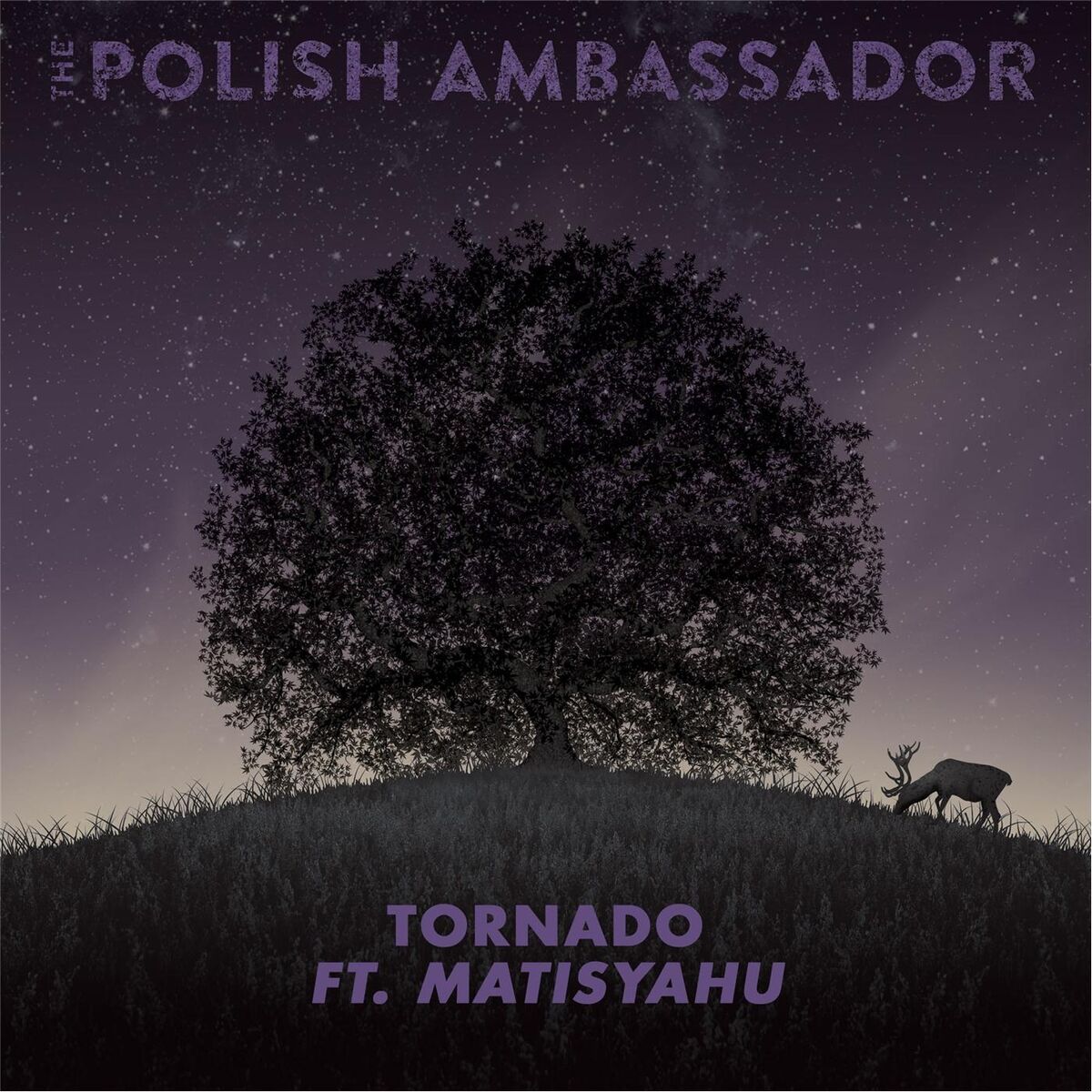 Album cover of Tornado