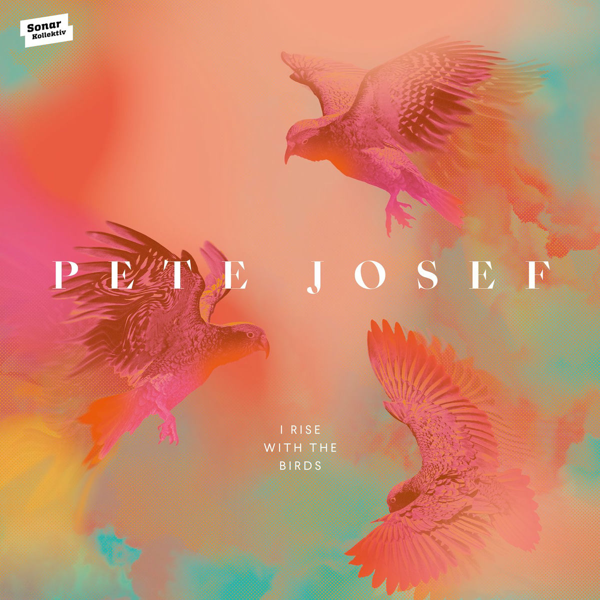 Album cover of I Rise with the Birds