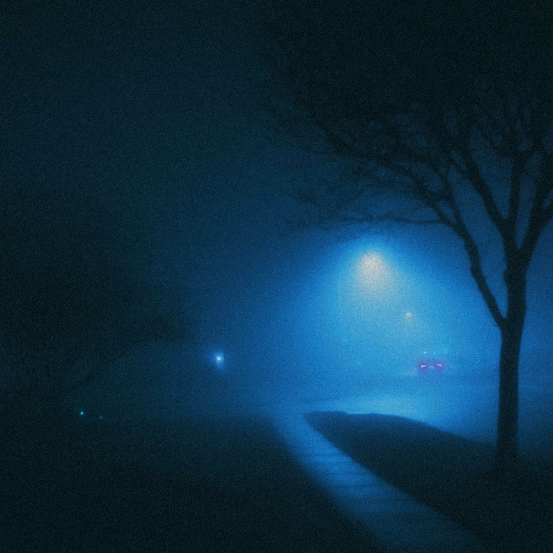 Album cover of mist