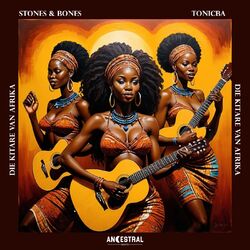 Cover of Die Kitare Van Afrika