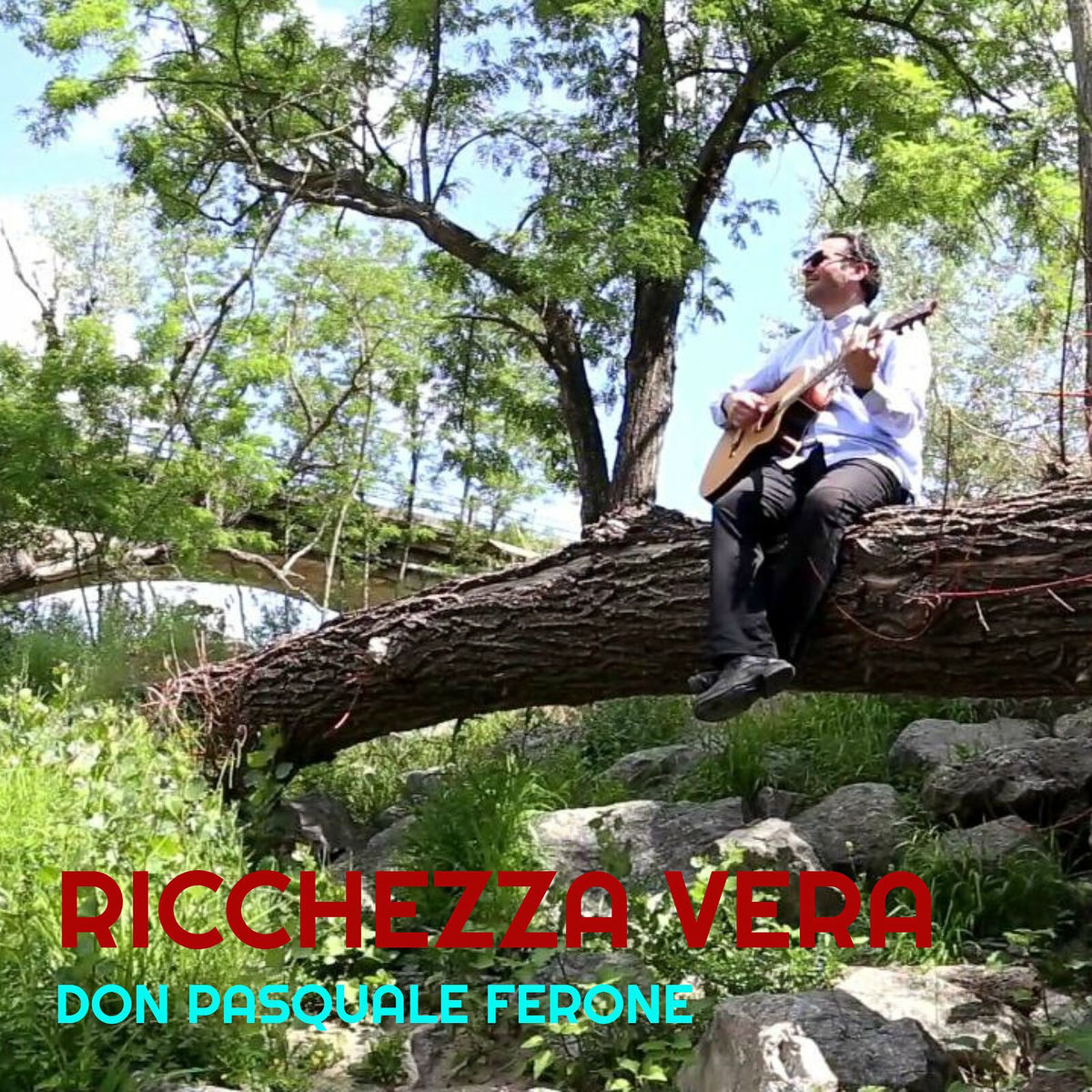 Album cover of Ricchezza vera