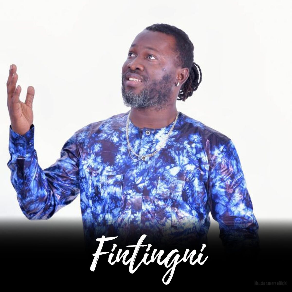 Album cover of Fintingni