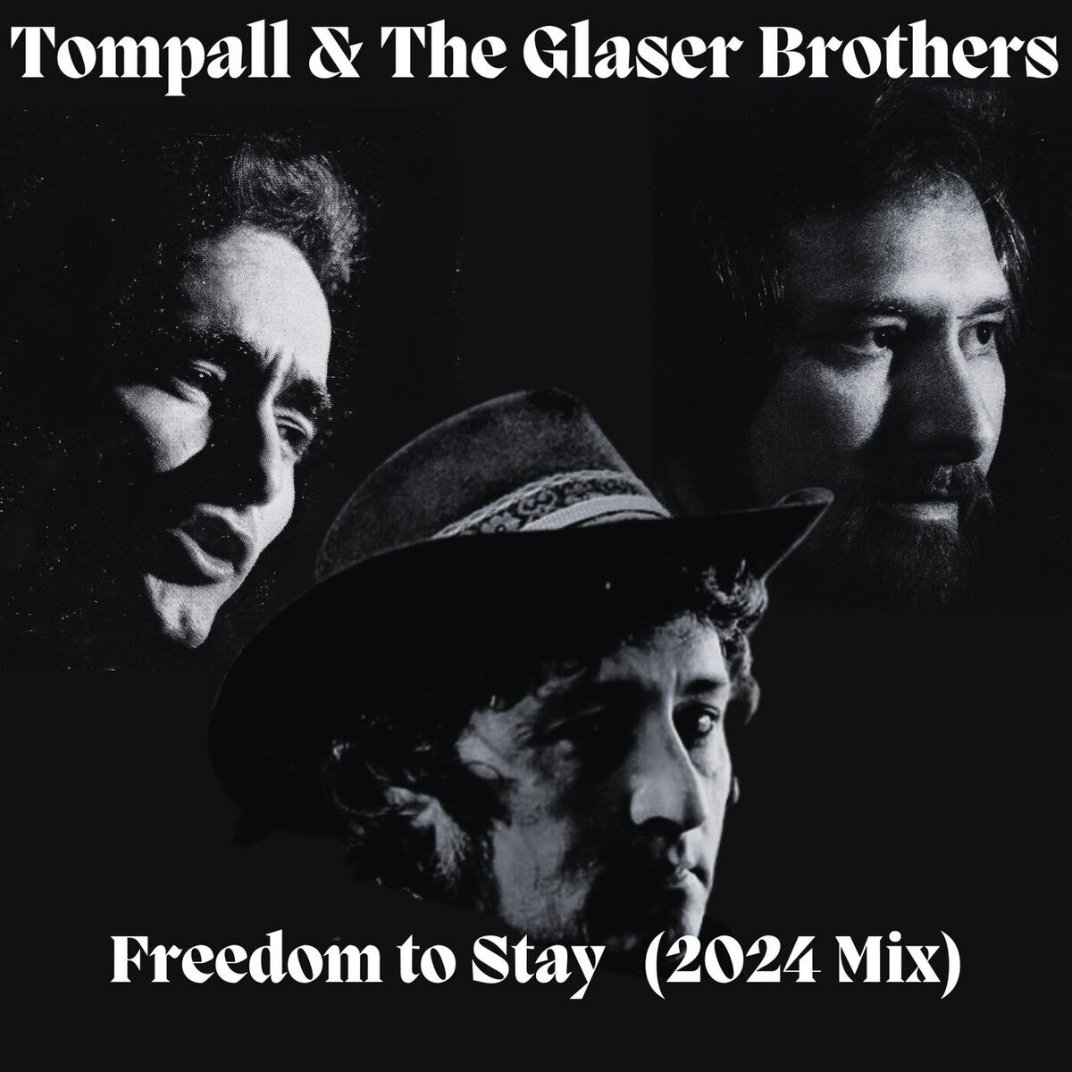 Album cover of Freedom to Stay (2024 Mix)