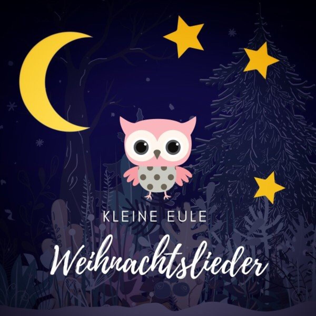 Album cover of Weihnachtslieder