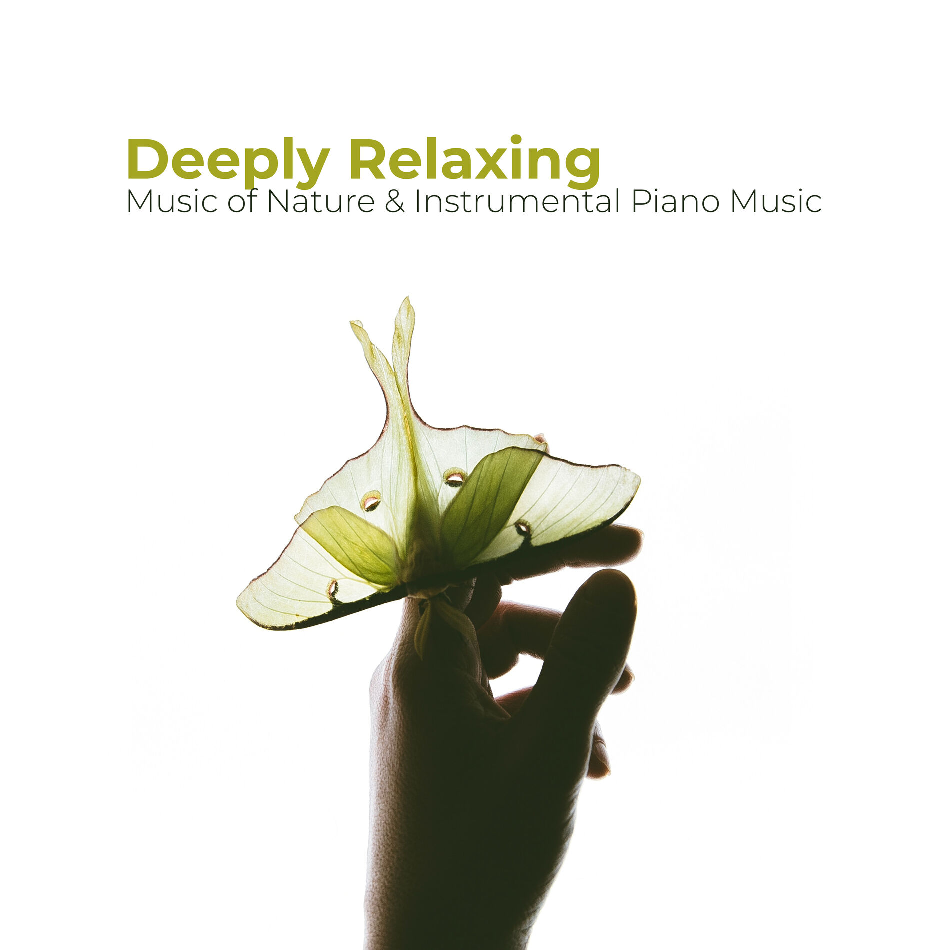 Album cover of Deeply Relaxing Music of Nature & Instrumental Piano Music