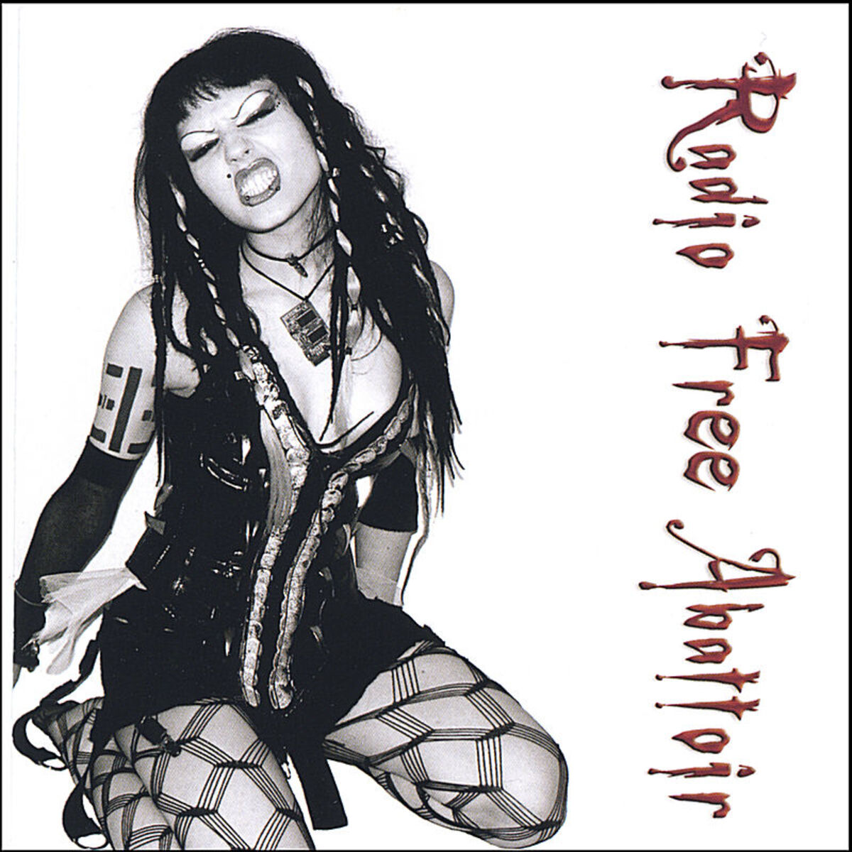 Album cover of The Best of Radio Free Abattoir 2004