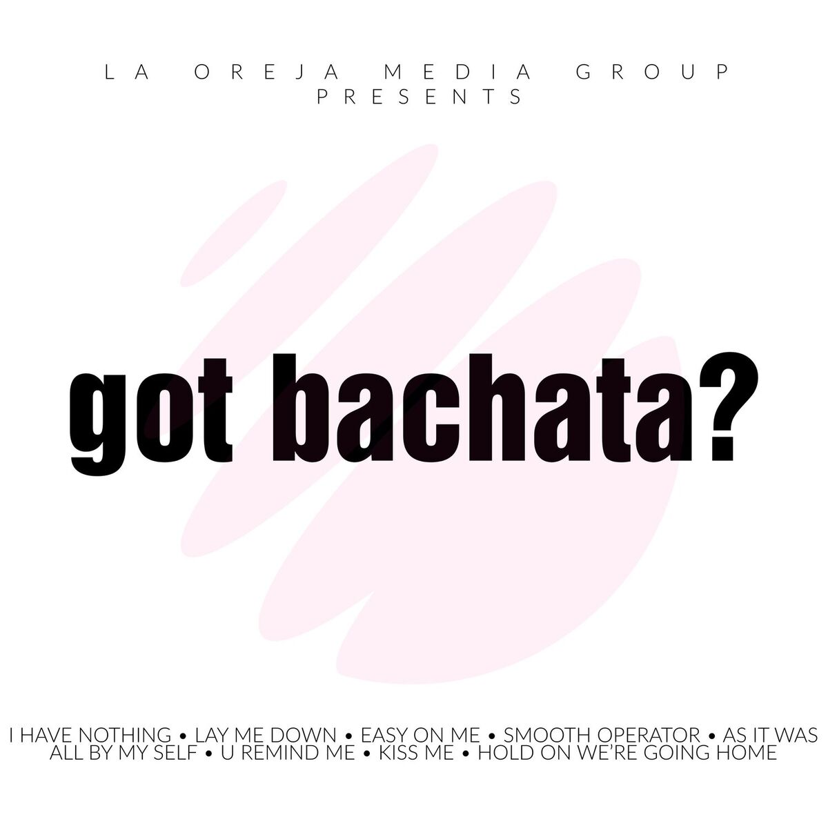 Album cover of got bachata?