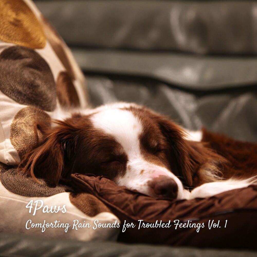 Picture of 4Paws: Comforting Rain Sounds for Troubled Feelings Vol. 1