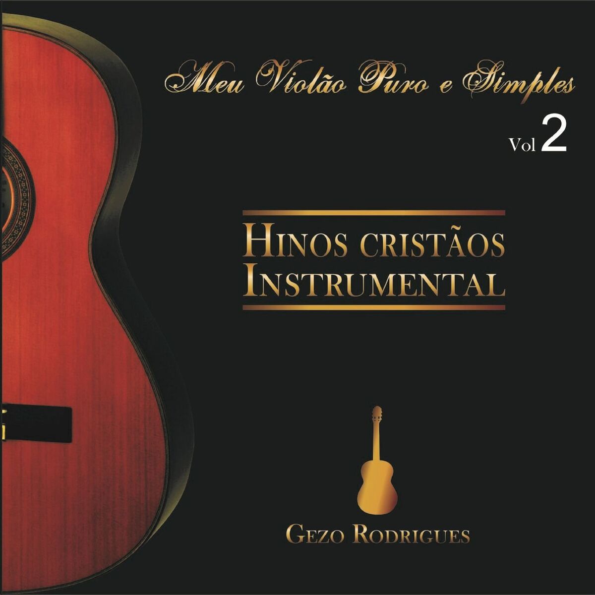Album cover of Meu Violão Puro e Simples Vol. 2
