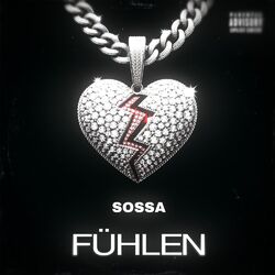 Cover of Fühlen