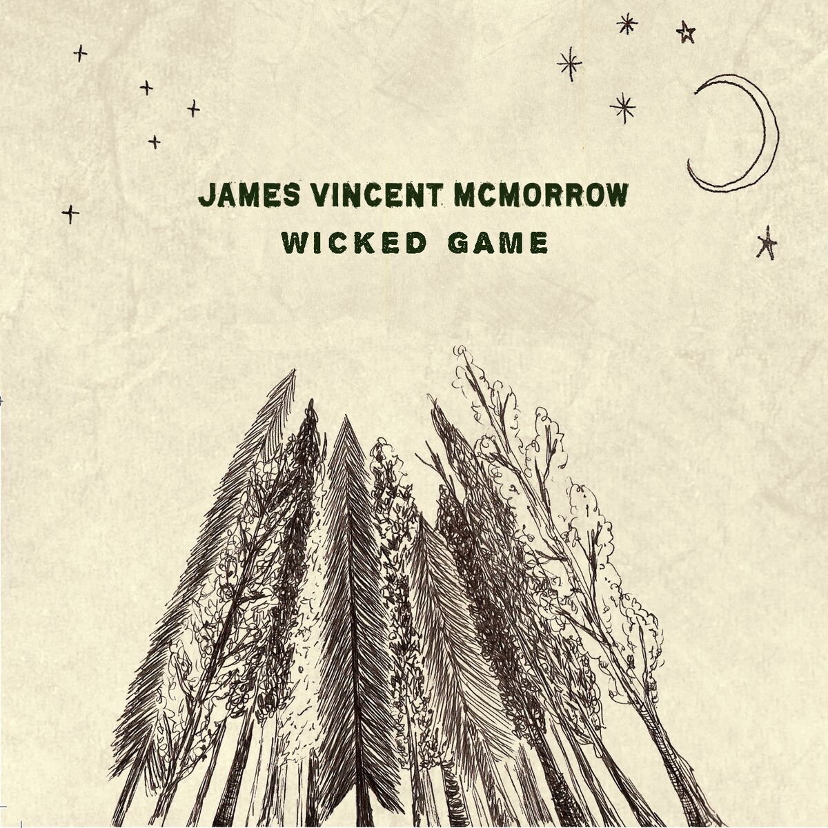 Album cover of Wicked Game (Recorded Live at St Canice Cathedral)