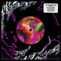 Cover of Pleasure Chasers (Joris Voorn Remix)