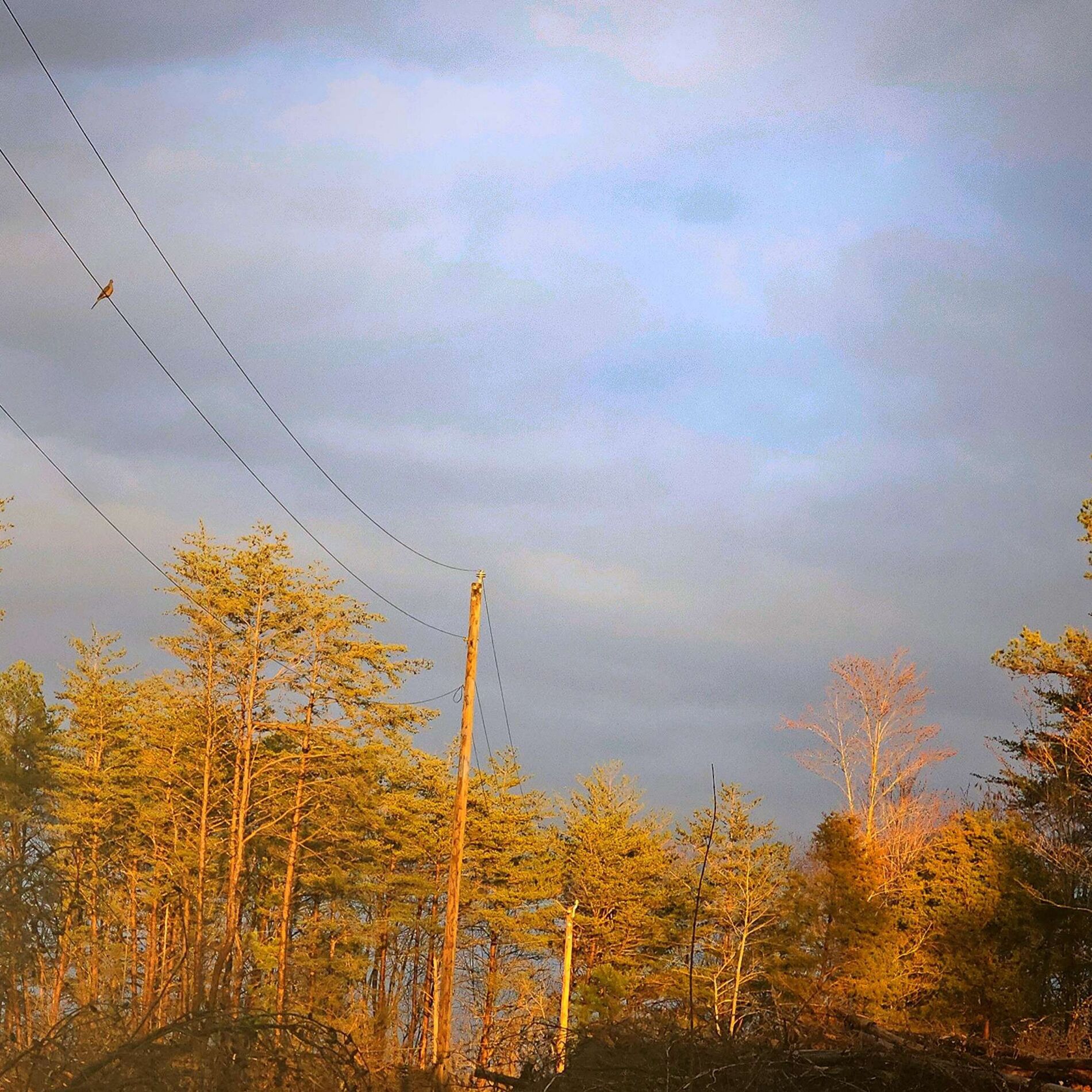 Album cover of Trains