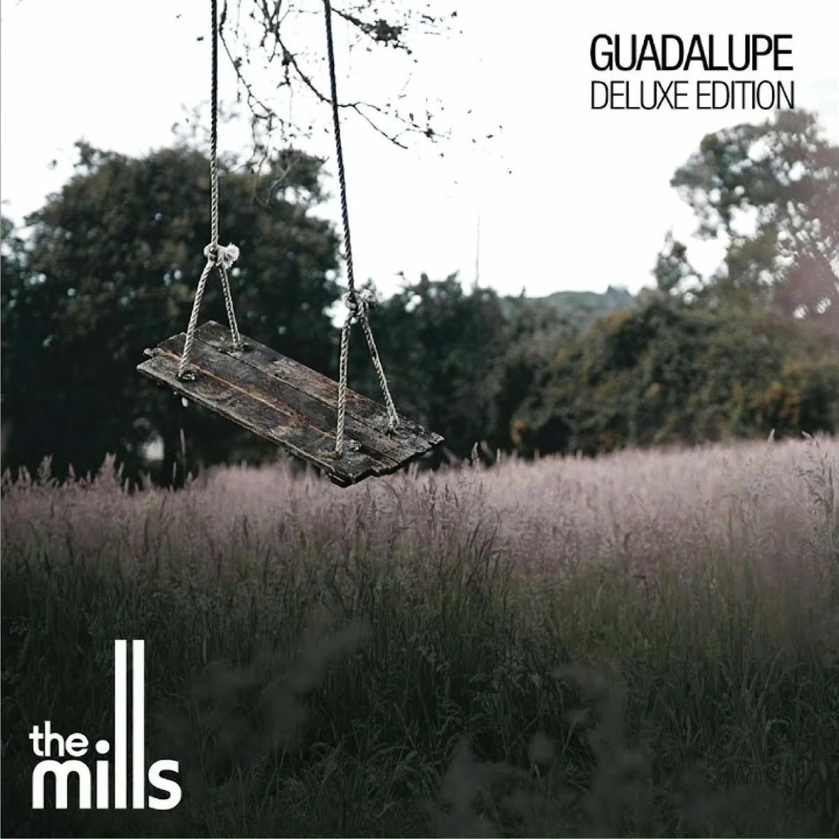 Album cover of Guadalupe