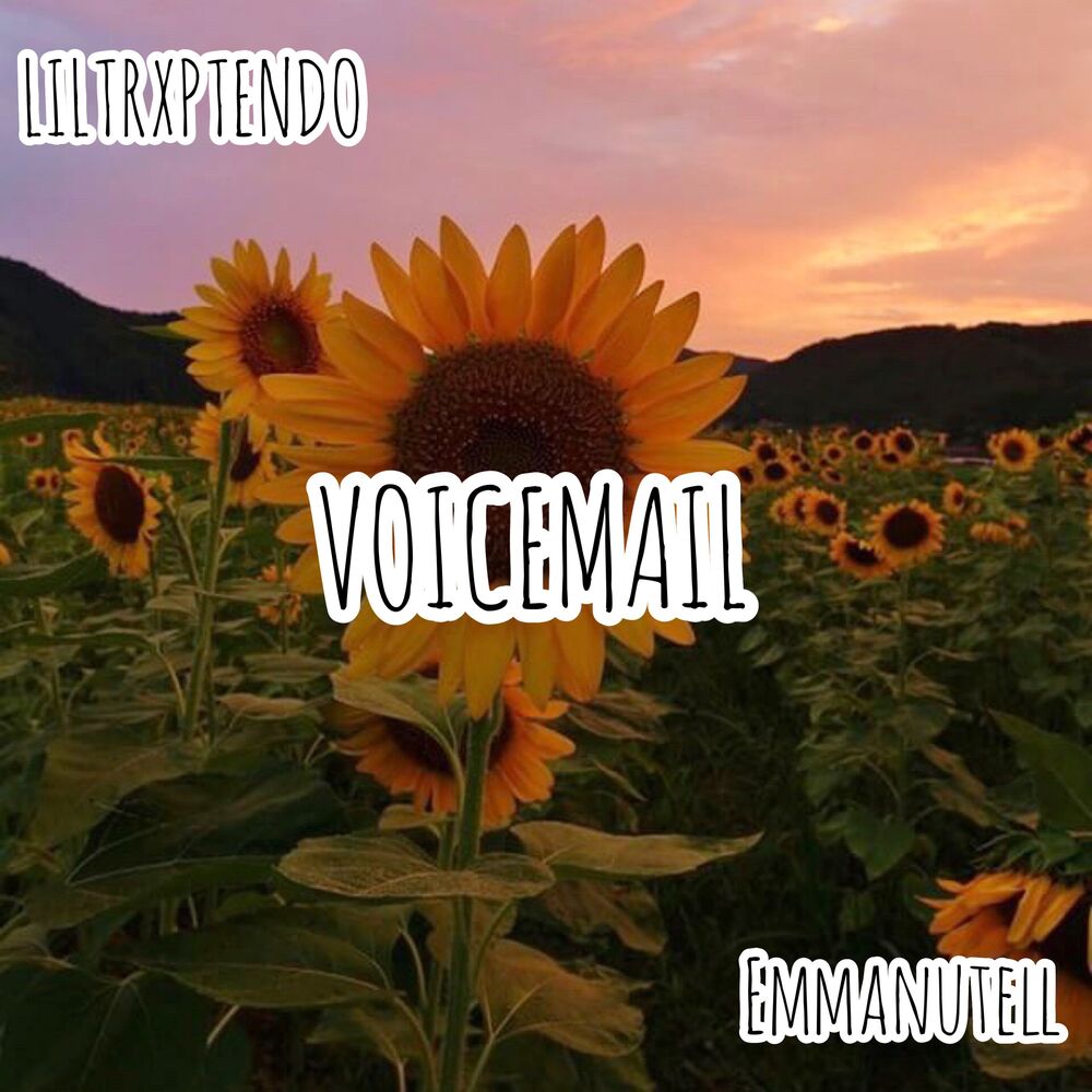 Picture of VoiceMail