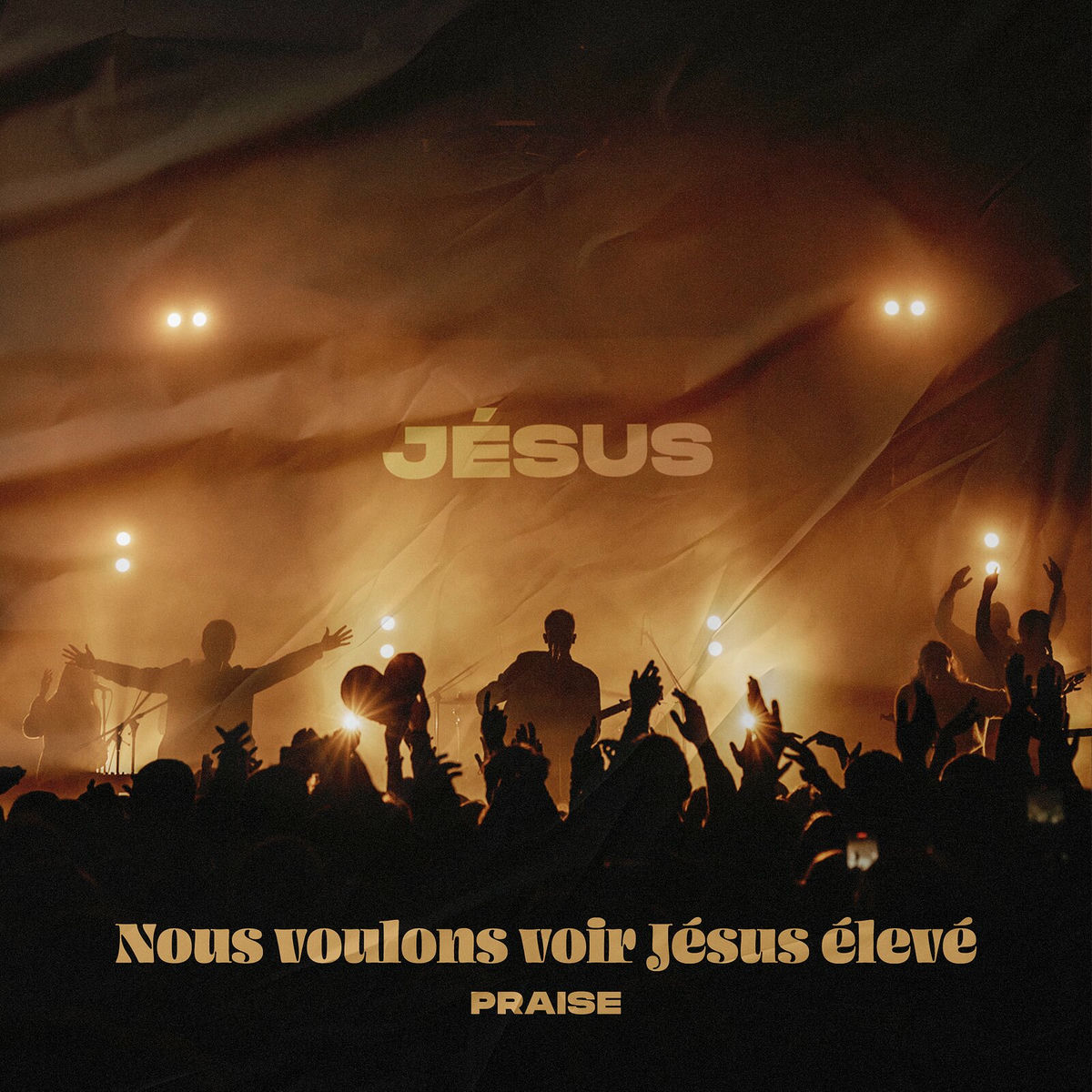 Album cover of Nous voulons voir Jésus élevé (Live)