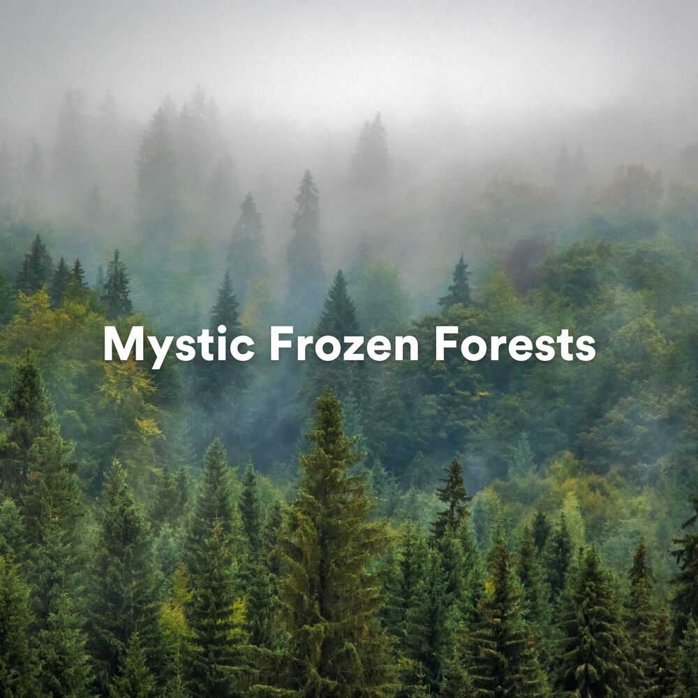 Picture of Mystic Frozen Forests