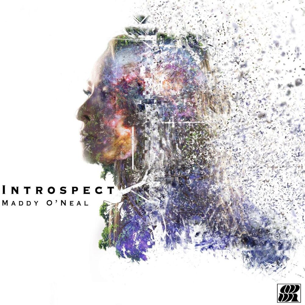 Picture of Introspect