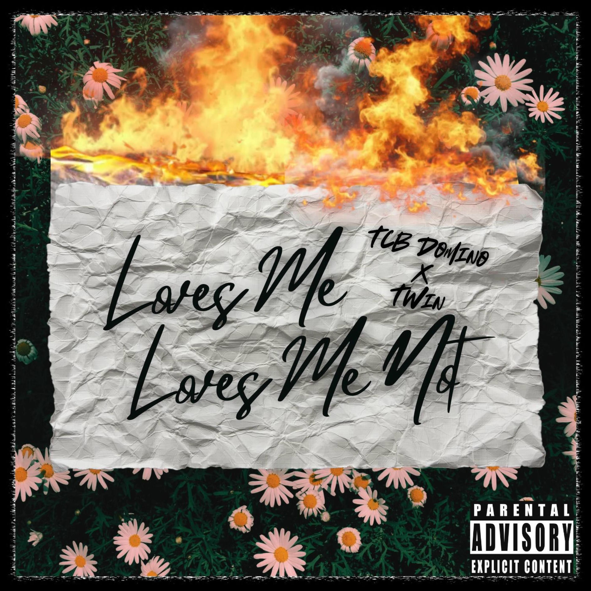 Album cover of Loves Me Loves Me Not (feat. Twin)