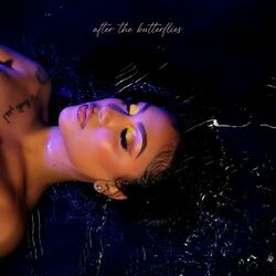 Cover of After the Butterflies