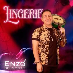 Cover of Lingerie