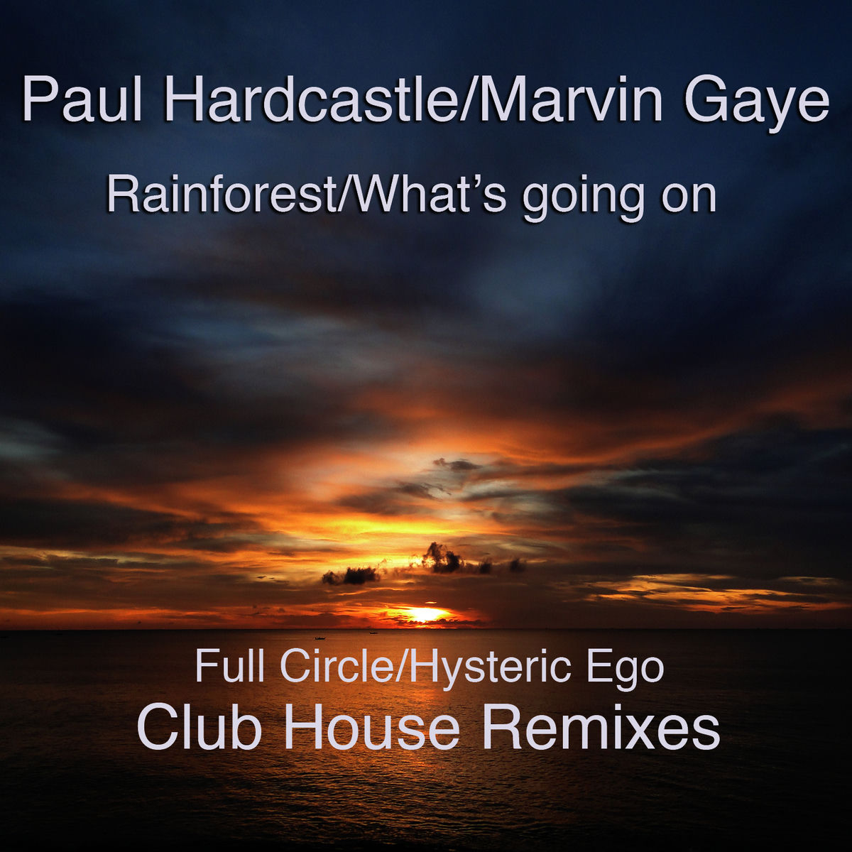 Album cover of Rainforest/What's Going On (Hysteric Ego Mix)