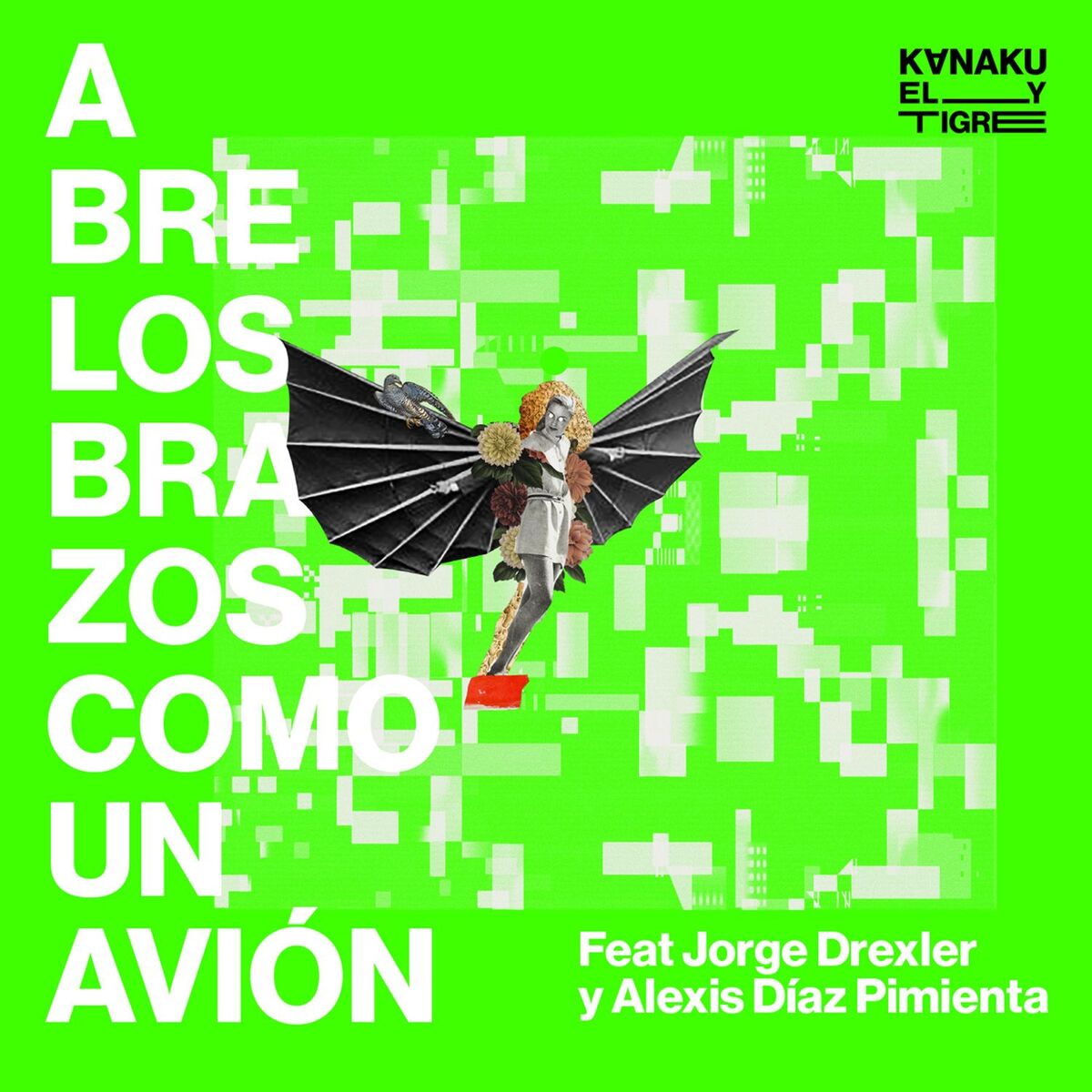 Album cover of Abre los Brazos Como un Avión