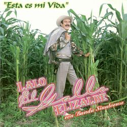 Cover of Esta Es Mi Vida Con Banda Sinaloense