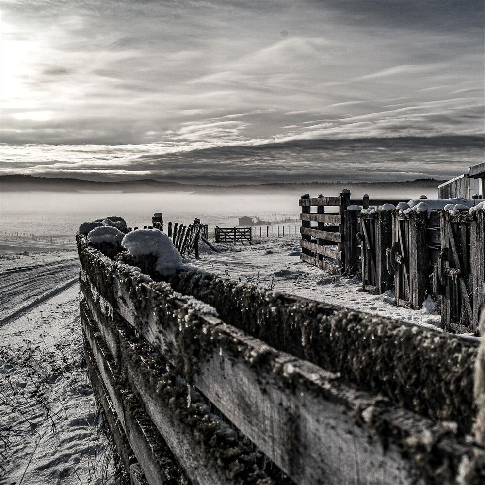 Picture of Oblivion