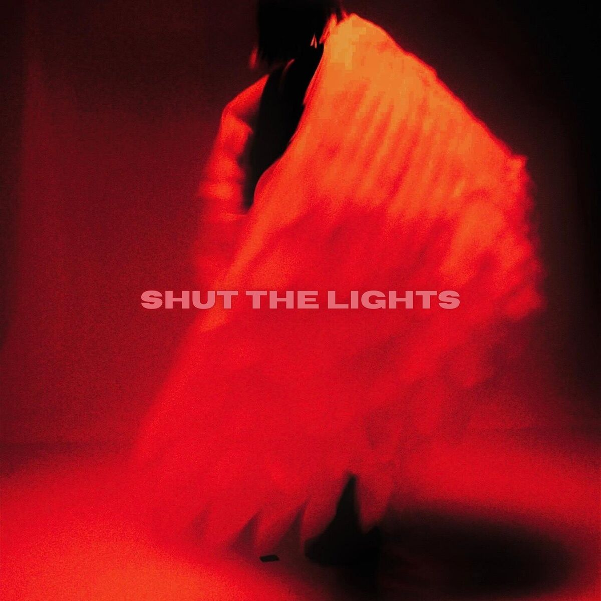 Album cover of Shut the Lights