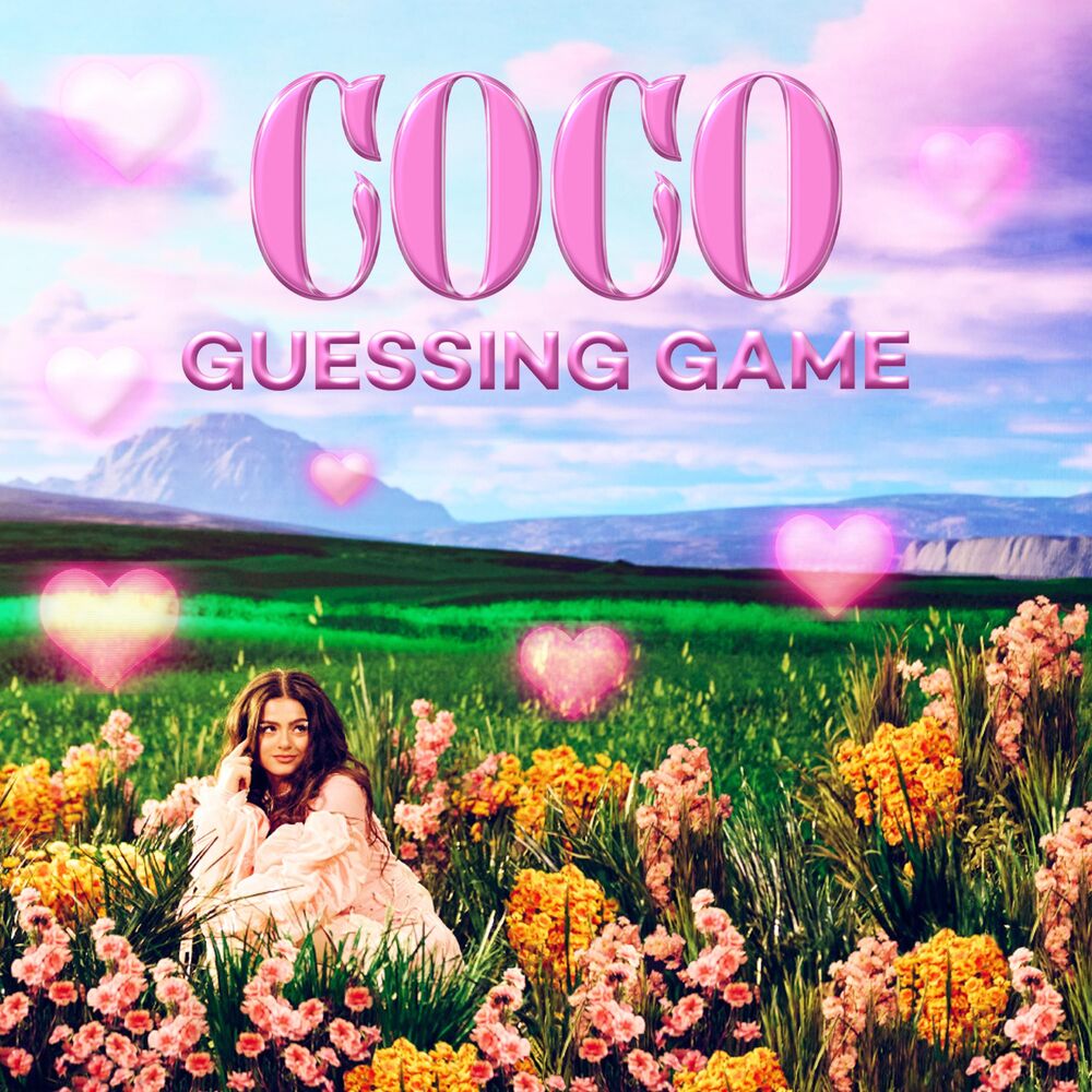 Picture of Guessing Game