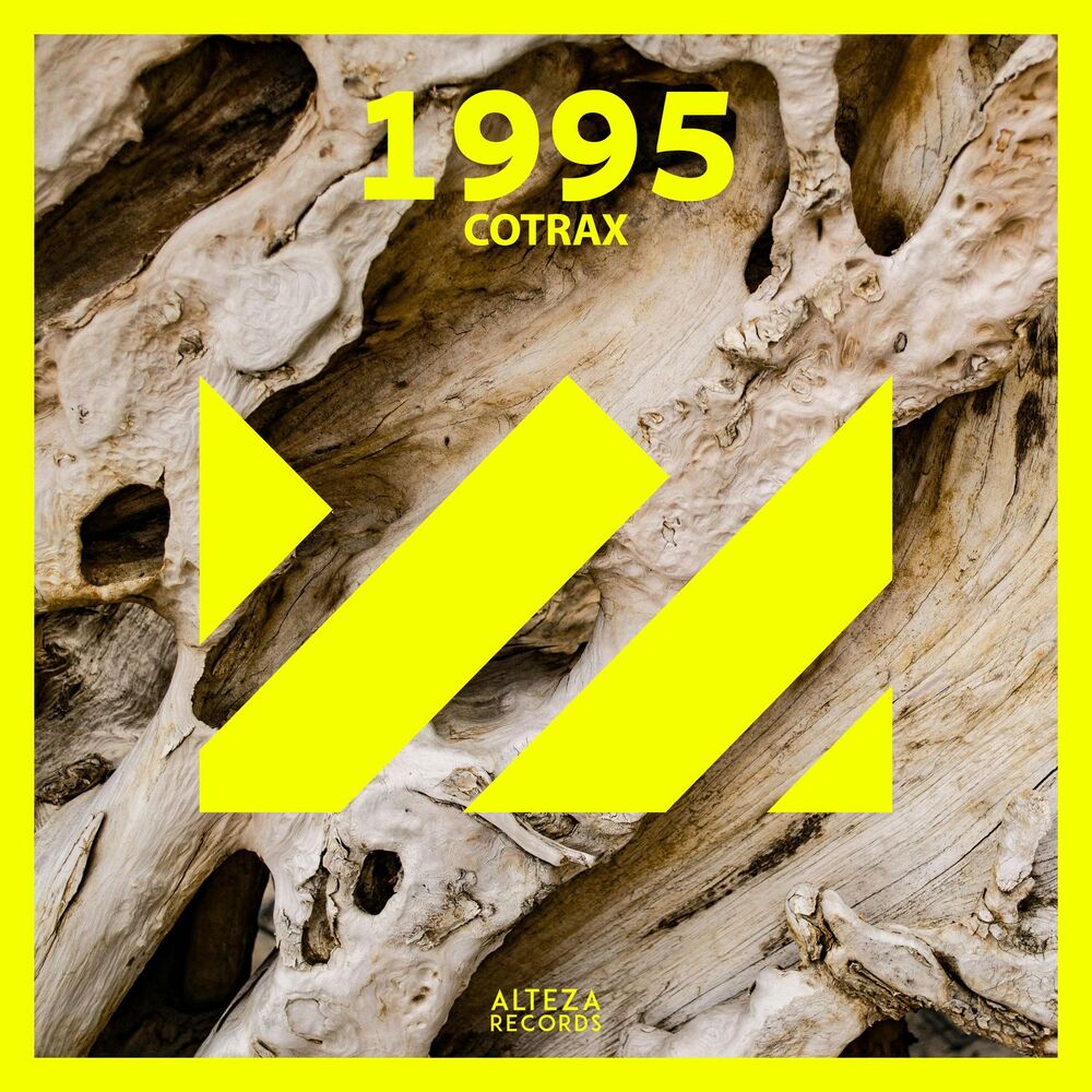 Picture of 1995