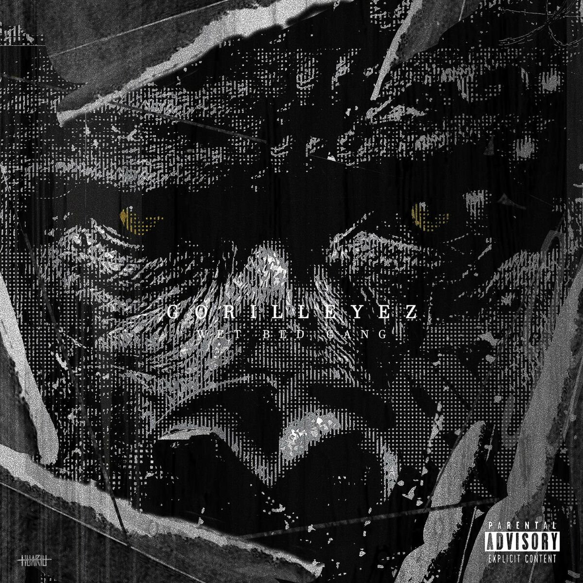 Album cover of Visão Noturna