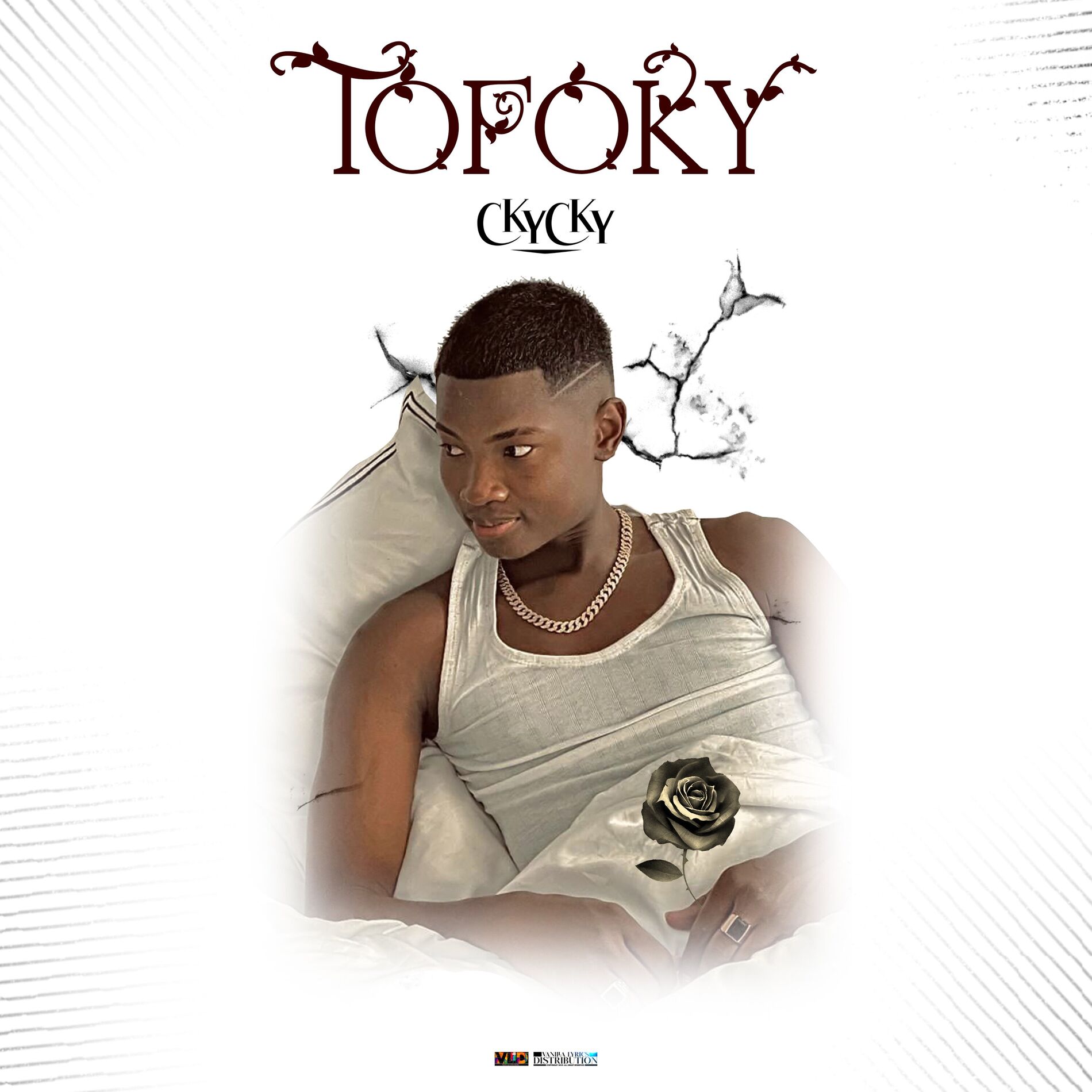 Album cover of Tofoky