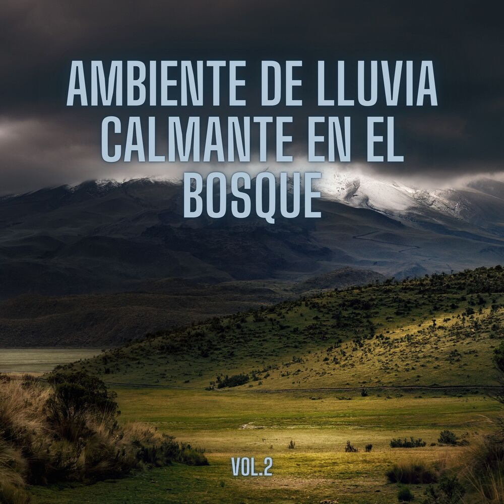 Picture of Ambiente De Lluvia Calmante En El Bosque, Vol. 2