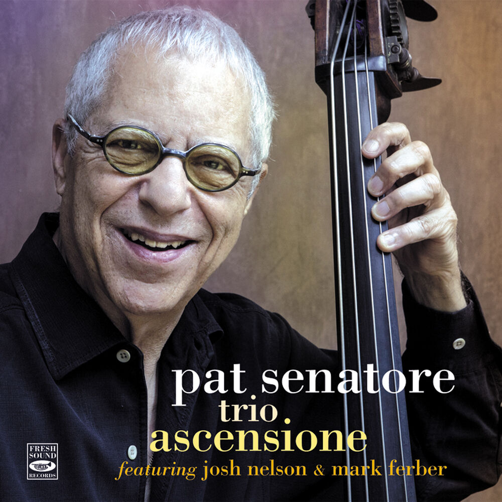 Picture of Pat Senatore Trio. Ascensione