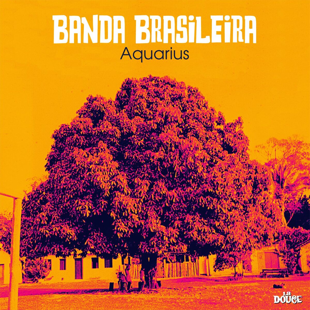 Album cover of Aquarius