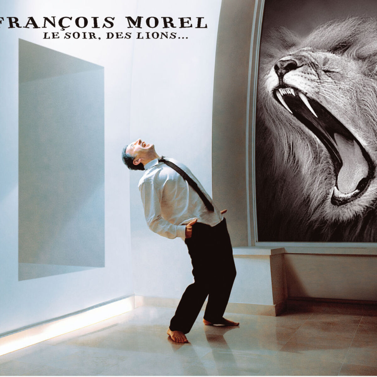 Album cover of Le Soir Des Lions