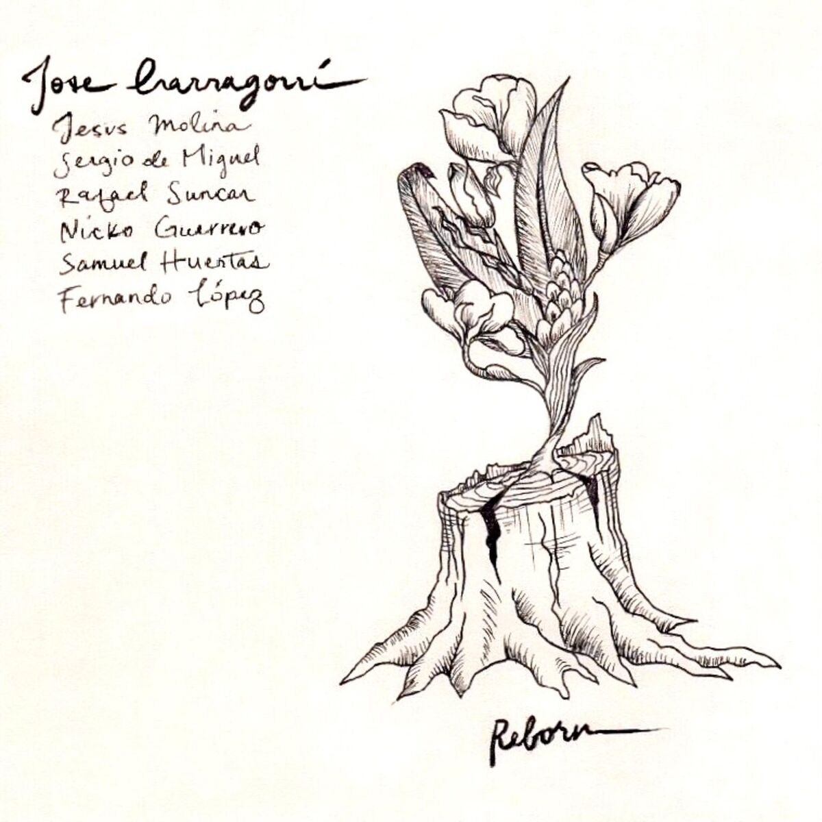 Album cover of Reborn
