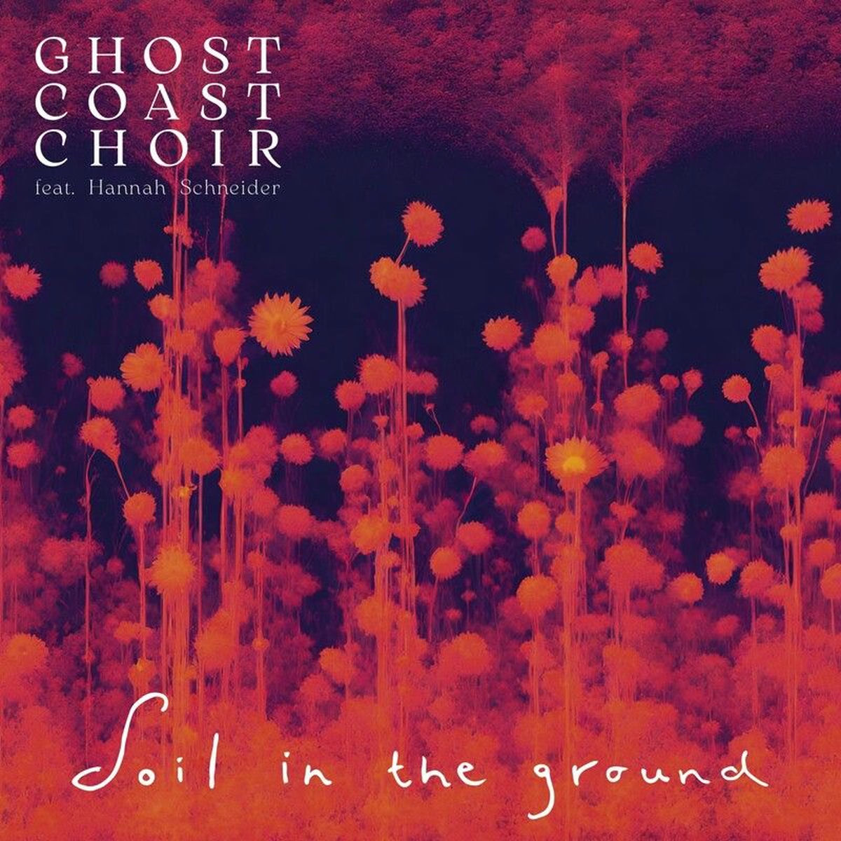 Album cover of Soil in the Ground
