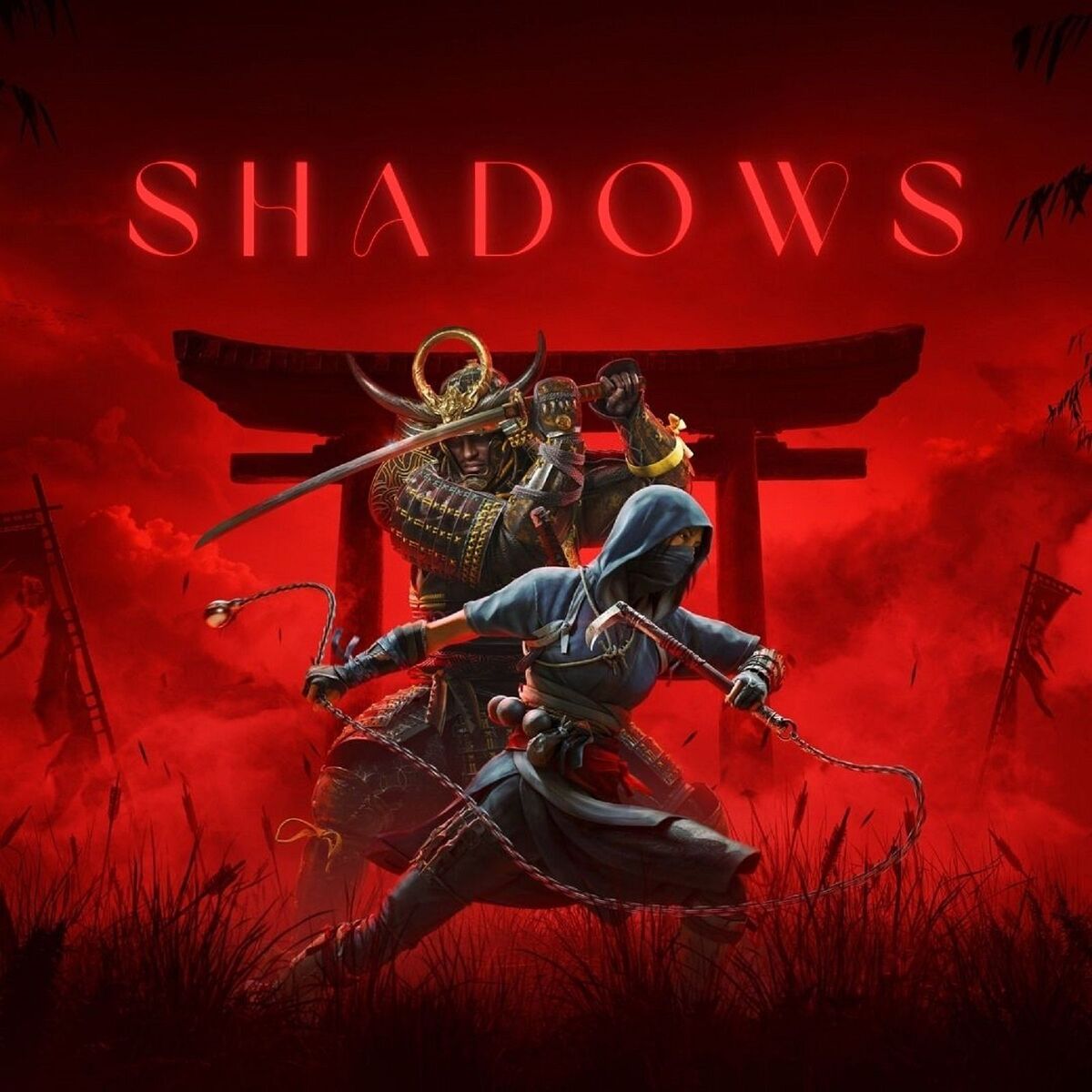 Album cover of Shadows