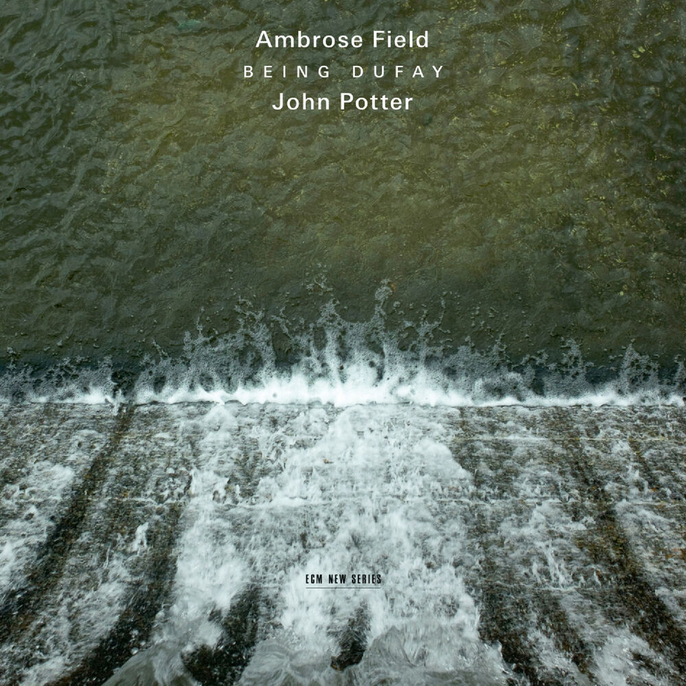 Picture of Ambrose Field: Being Dufay