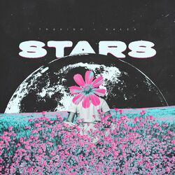 Cover of Stars